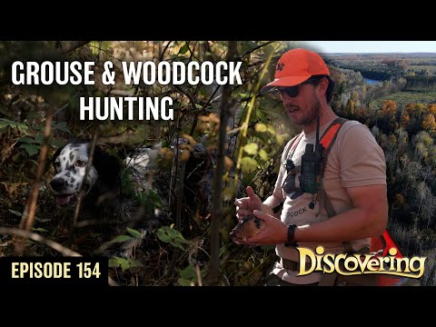 DISCOVERING | Upland Bird Hunting