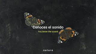 Agnes Obel - Brother Sparrow // Lyrics // Sub. Español.