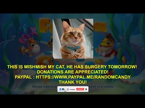 Fishdom lvl 6089-6092 👀 Gameplay #564