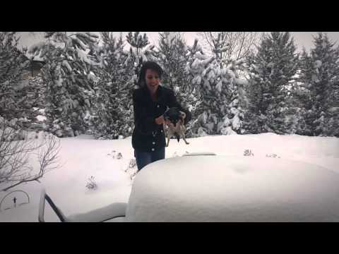 Mia dropped in the snow