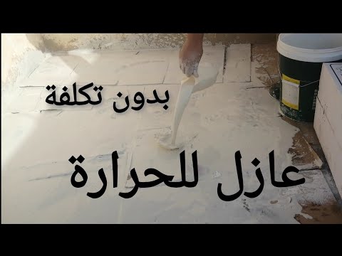 شاهد الفيديو