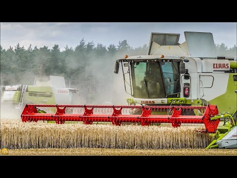 Getreideernte 2019 XXL 3 X Mähdrescher - CLAAS LEXION 740 & CASE IH 8120  Harvest in Germany