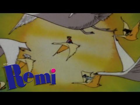 Remi, el niño de nadie  |  capítulo 14 -Remi, y el grupo en el cisne  (Español Latino)