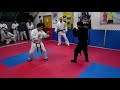 Ninjutsu V.S Karate