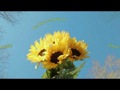 Video thumbnail for 50 Watt Smile