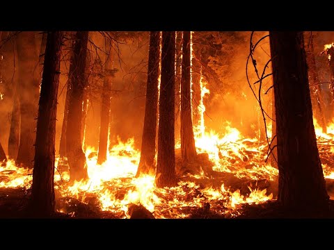 Ahora Me Odias - Josh Milli, Tivi Gunz