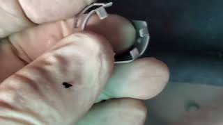 Ford F-Series A/C Drain Leak Diagnosis and Repair