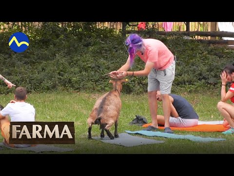 FiFqo a jeho najlepšie momenty na Farme 14 - FARMA