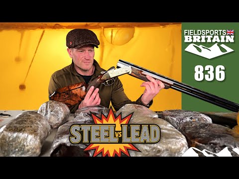 Fieldsports Britain – steel vs lead