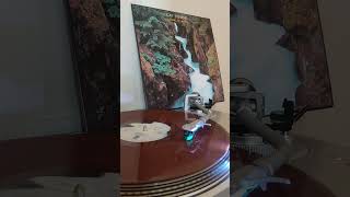 Cat Stevens - New York Times -1978- vinyl