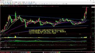 【太極聊天室】#賴昇楷 0121 - 護國神山《台積電》越長越高，台積大聯盟《家登、京鼎…》活蹦亂跳，再來誰將”與神同行”演好戲? (圖)