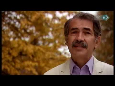 Magyarország története 33.: Az első világháború