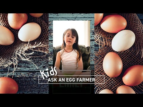 Kids Ask An Egg Farmer: Saphira & Emily
