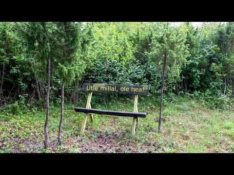 Merle Lilje - Quando