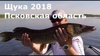 Ссылка
