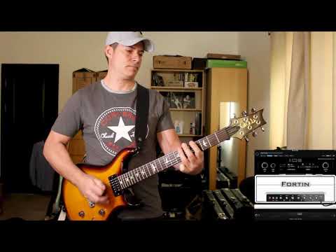 Best plug for Chug - Neural DSP Fortin Cali vs ML Sound Lab Amped Roots vs Ark vs Burger