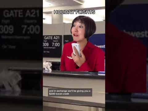 AIRLINE OVERBOOKS THEIR FLIGHT AND PASSENGER NEGOTIATES 😏