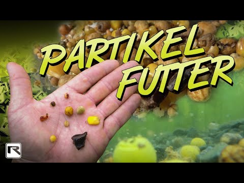 Karpfenfutter selber machen - Partikel, Tigernüsse, Mais, natürliche Futterzusätze