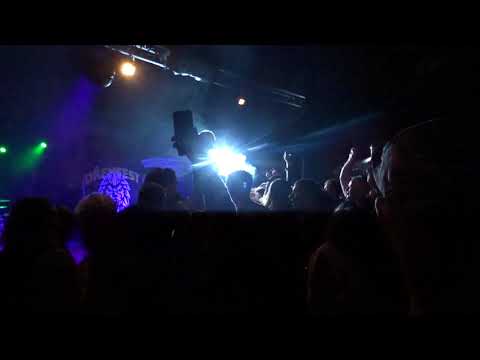 REDZED - Gasoline Live @ Dřemfest 2020