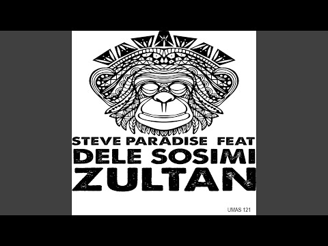 Zultan (feat. Dele Sosimi) (Crazy Hammond Mix)