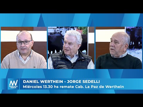 Daniel Werthein - Jorge Sedelli - Miércoles 13.30 hs remate Cab. La Paz de Werthein -MV