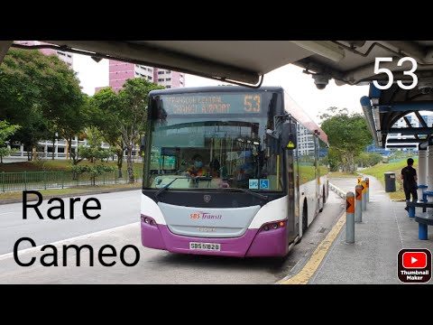 (SBST) Rare Cameo - Scania KUB Euro V, SBS5182B on service 53