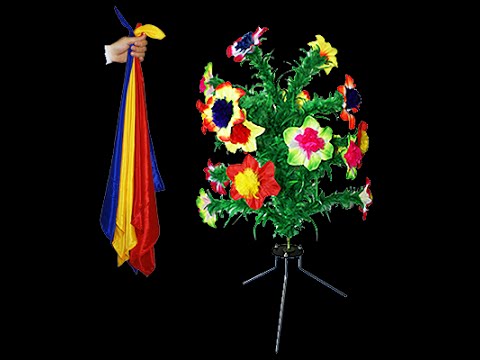 Voir la vidéo de Flower Production To Silk