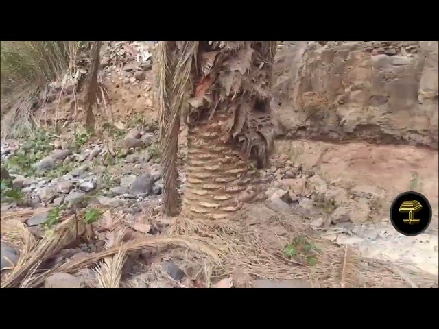 El Barranco de Tenoya y la degradación de Gran Canaria