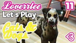 Cats & Dogs #11: Pretty Puppy