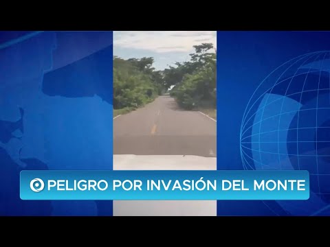 Maleza invade vía norte de Bolívar y pone en riesgo a conductores: gobernador pide podar