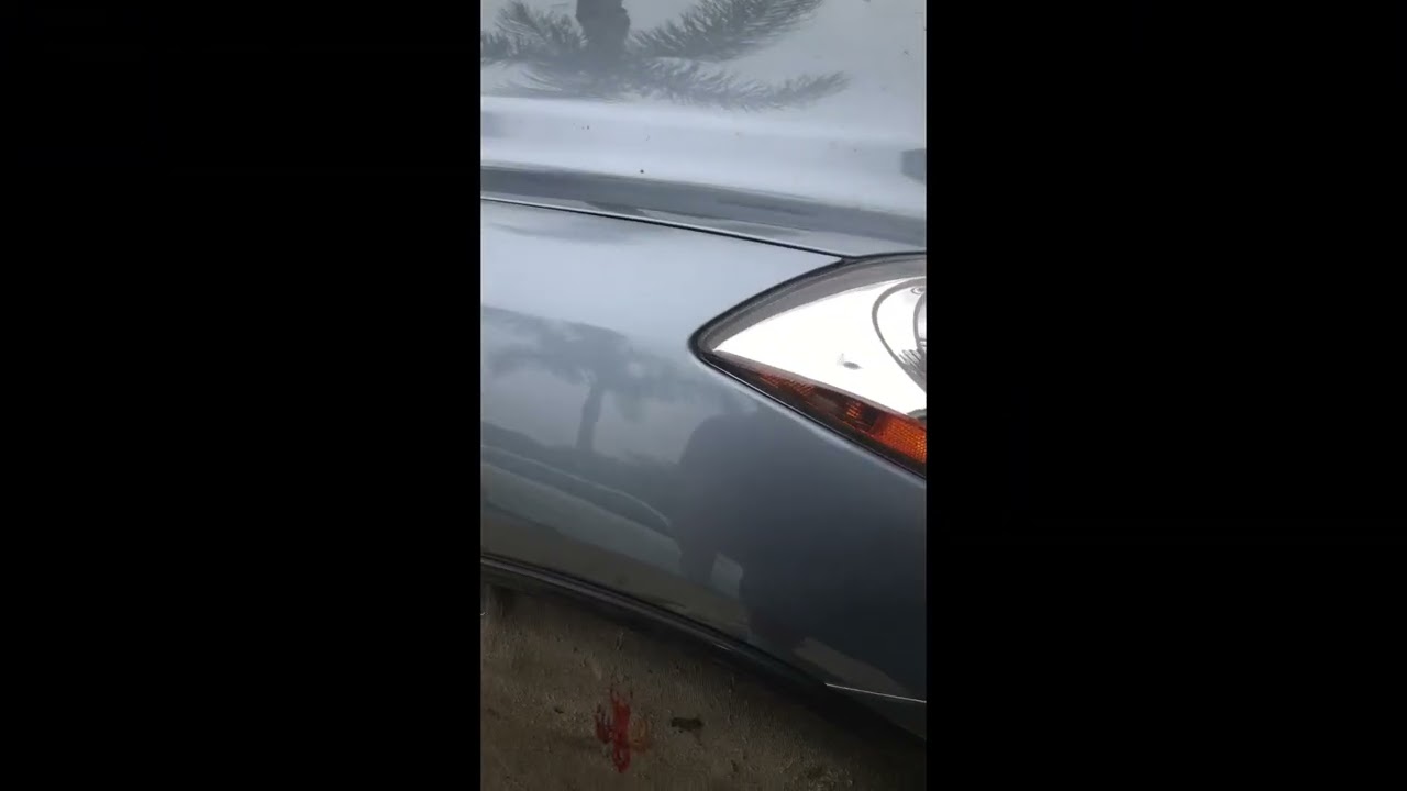 Paintless Dent Repair