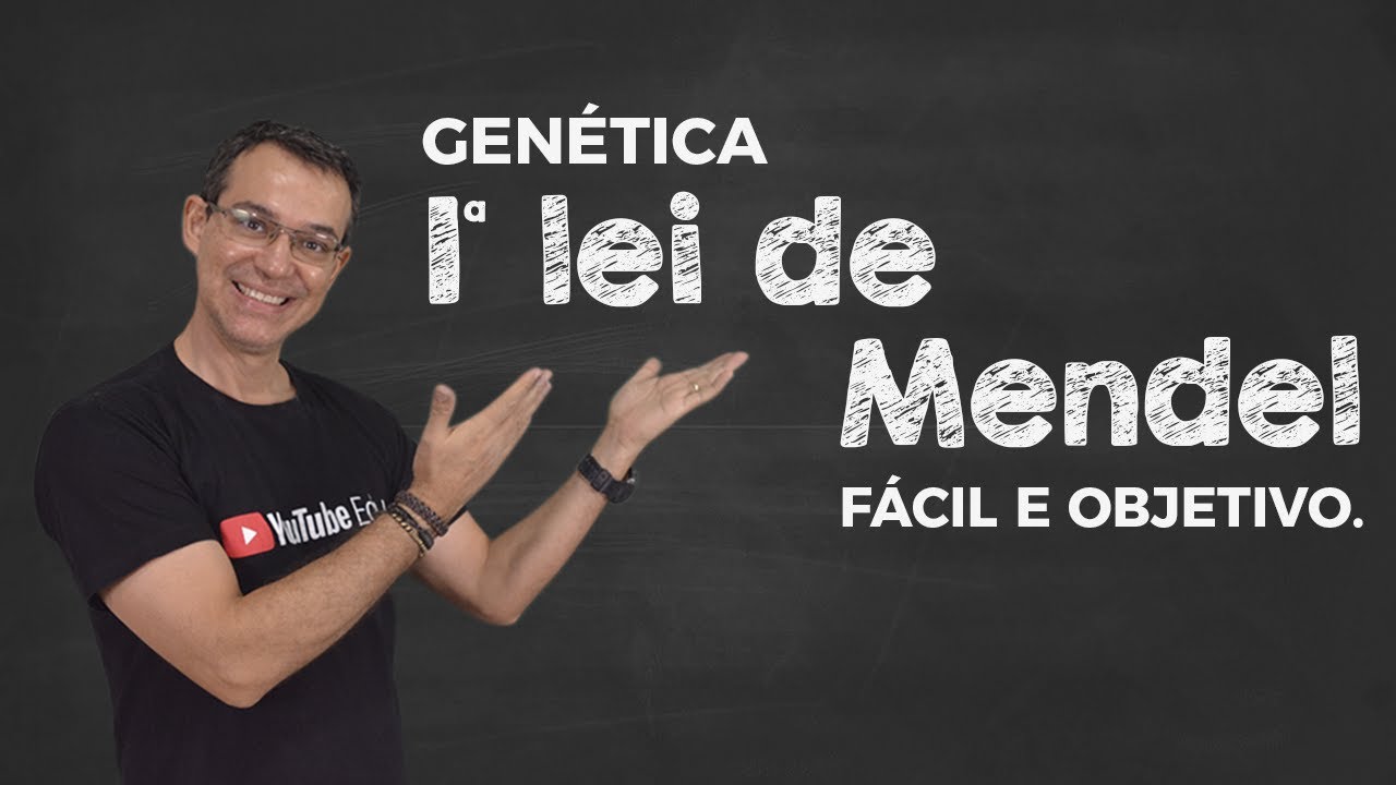 1ª Lei de Mendel de um jeito fácil e bem objetivo.
