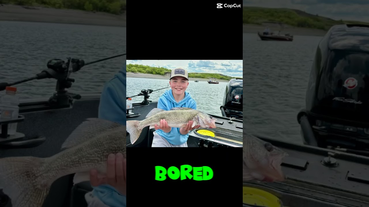 copy 62242A23 5F90 4996 B1F0 92FB8EECCB88