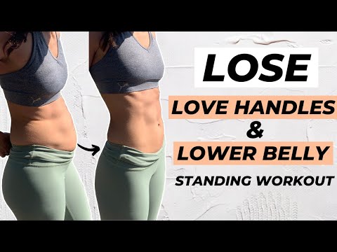 10 MIN LOVE HANDLES AND LOWER BELLY FAT WORKOUT Standing Only | No Equipment!