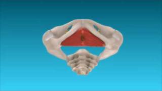 Dem Becken einen Boden geben