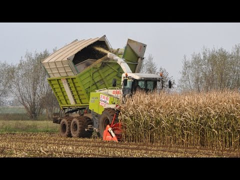 Claas Jaguar 900 Fieldshuttle - Loonw. De Bruyne - mais 2012