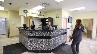 preview picture of video 'Welcome to Beattie Pet Hospital of Hamilton | Ancaster, ON'