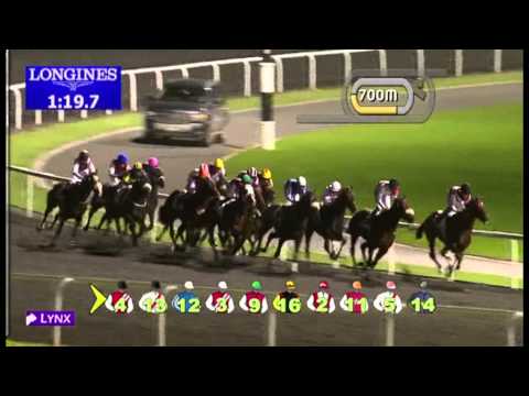 20.12.2012 Meydan (Dubai-UAE) 1.Race Ford Escape - Maiden 1.900 m