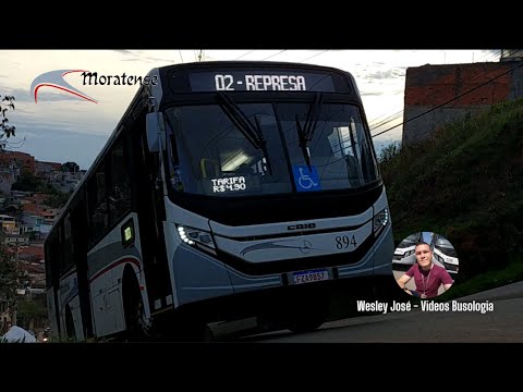 Moratense 894 - Apache VIP V sc - MB OF-1724 BlueTec5