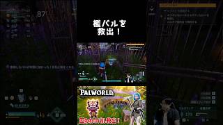 囚われのパル救出！【パルワールド】