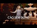 Mari Fernandez - CÃO SEM DONO (DVD Ao Vivo em São Paulo)