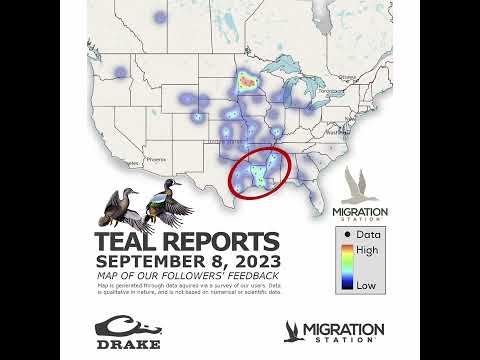 Teal Migration Update - 9/8/2023