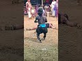 ஆரோக்கியம் அண்ணன் காளிமுத்து காமெடி