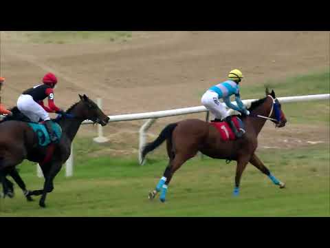 221113 c08 MI AMIGO BORRACHO