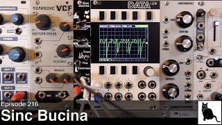 Video thumbnail for Noise Engineering Sinc Bucina by CatSynth TV