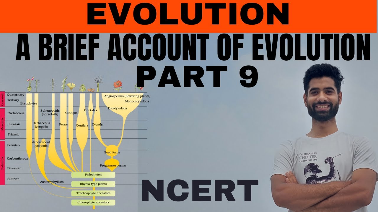 Evolution class 12th Biology NCERT || A Brief Account of Evolution