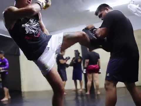 Highlights Hiram Furukawa 2