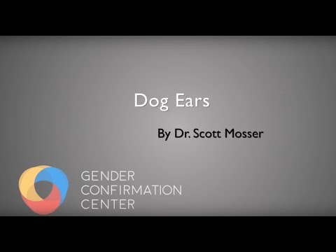 What are FTM/N Top Surgery Dog Ears?