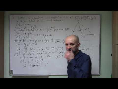 Inmultirea vectorilor cu scalari clasa a 9-a partea 27