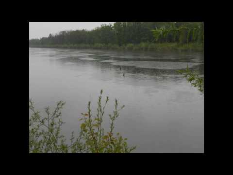 Dzima Kobeshavidze & Irakli Balavadze - Rain !